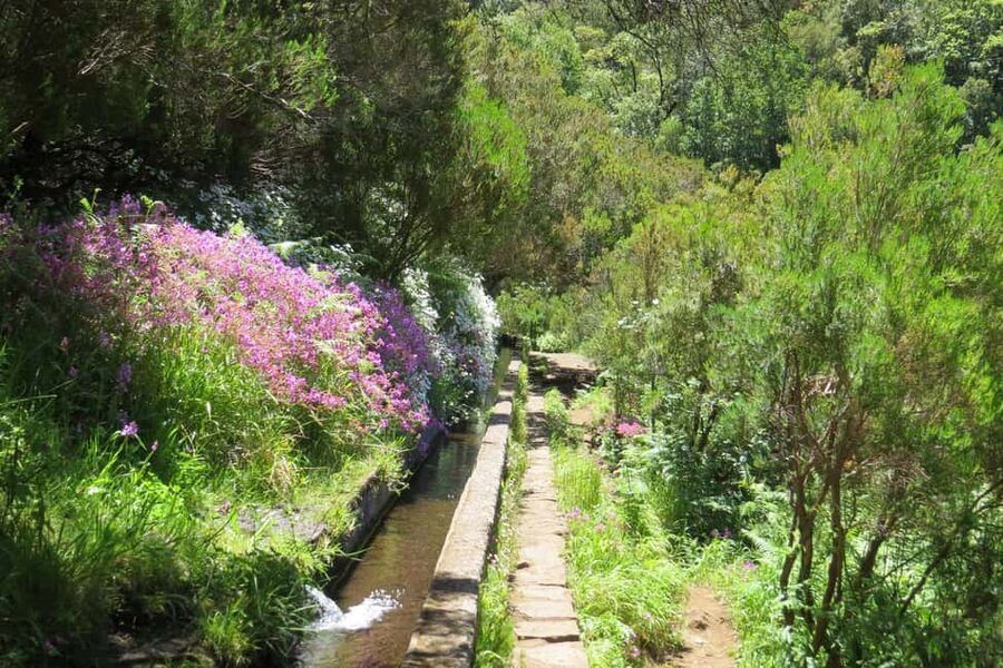 Rabaçal: 25 Fontes & Risco Levada Hiking Transfer - Risco Levada: the payoff after you get past the first waterfall rush