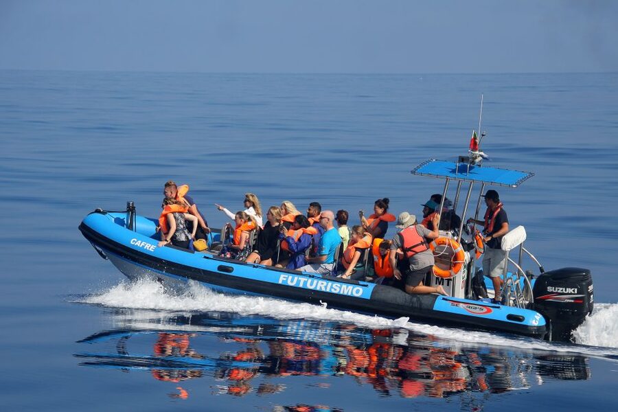Rabo de Peixe: Sperm Whale Sanctuary Expedition - Should you book Rabo de Peixe: the quick decision guide