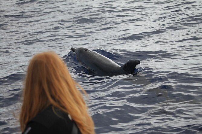 Responsible Whales and/or Dolphins Watching Tour - Your skipper and marine biologist: learning names like Camellia and Fernanda