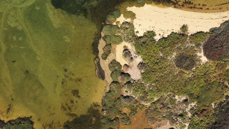 Ria Formosa: Armona and Culatra Islands 3-Hour Boat Tour - Key things that make this tour work