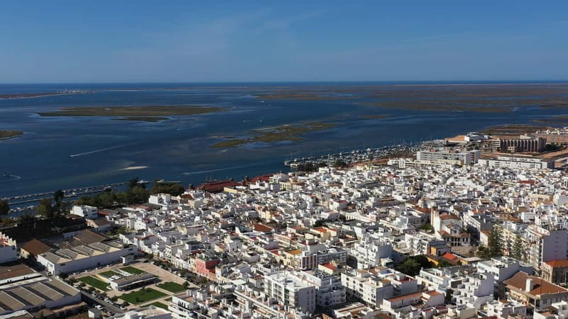 Ria Formosa: Armona and Culatra Islands 3-Hour Boat Tour - Entering Ria Formosa National Park: Marshes, Birds, and Low-Tide Life