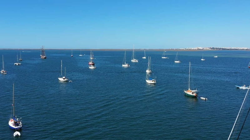 Ria Formosa: Armona and Culatra Islands 3-Hour Boat Tour - The Culatra Stop: Car-Free Island Living and Oyster-Farm Reality