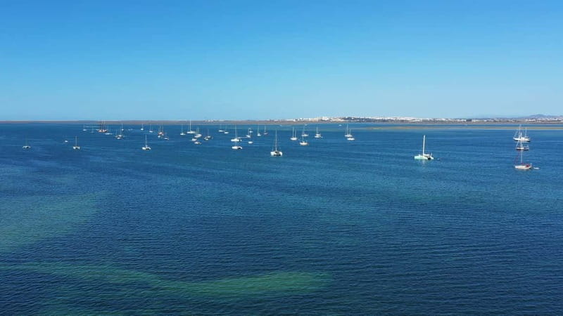 Ria Formosa: Armona and Culatra Islands 3-Hour Boat Tour - Armona Island Break: Serenity, Walks, and Easy Island Photos