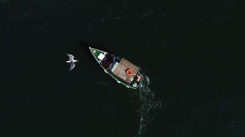 Ria Formosa: Armona and Culatra Islands 3-Hour Boat Tour - When Weather Turns: Wind, Rain, and Keeping Your Day on Track