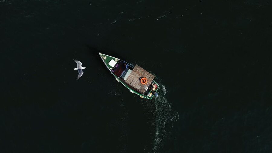 Ria Formosa: Armona and Culatra Islands 3-Hour Boat Tour - Photo and Beach Tips You Can Use Immediately