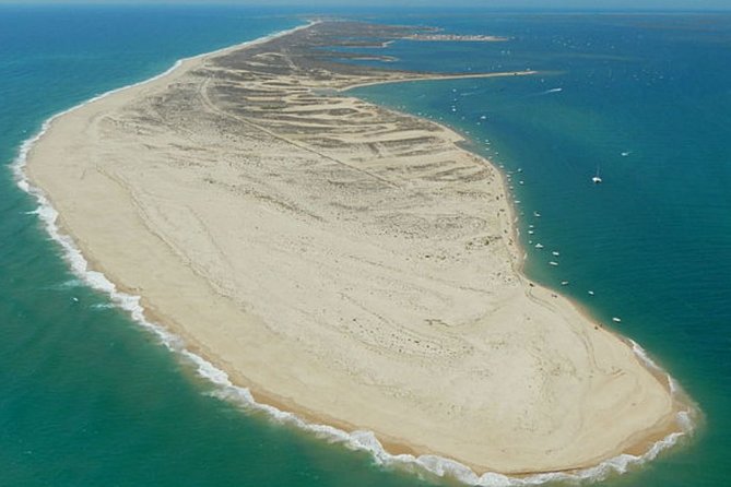 Ria Formosa - Boat trip to the 3 Islands: Armona | Culatra Island | Lighthouse - What you might spot: oysters, tide changes, birds, and even dolphins