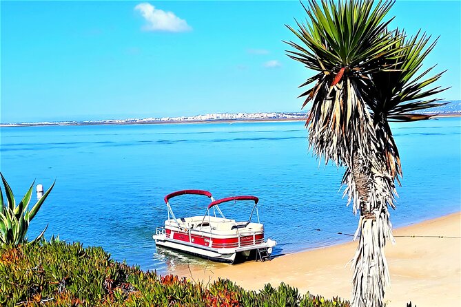 Ria Formosa Natural Park and Islands Boat Cruise from Faro - Stop 3: Ilha do Farol, Sand-Supported Houses and Beach Time
