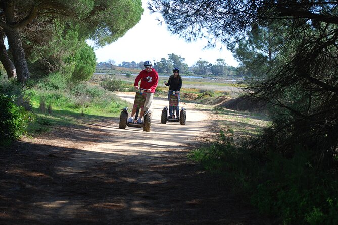 Ria Formosa Natural Park Birdwatching Segway Tour from Faro - Where you start near Faro airport and Praia de Faro Montenegro
