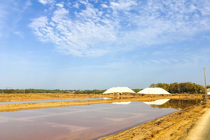 Ria Formosa Natural Park Birdwatching Segway Tour from Faro - Learning while you glide: how guides make the park click