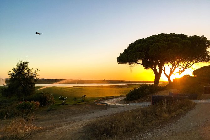 Ria Formosa Natural Park Birdwatching Segway Tour from Faro - How much birding to expect (and how to stack the odds)