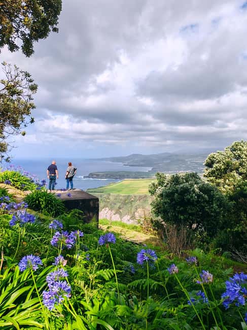 São Miguel 2-Day Tour: Sete Cidades, Fogo, Furnas & Nordeste - Tea and pineapple plantations: the agricultural stop that surprises people