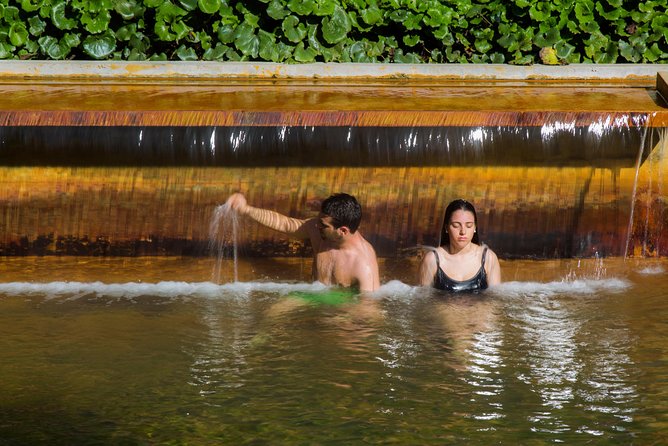 São Miguel East Van Tour with Lunch: Furnas & Nordeste - Should you choose Terra Nostra or stick with the Furnas thermal time?