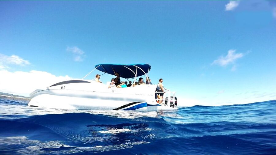 São Miguel: Glass Bottom Boat Tour with Snorkeling - Biologist briefing: what you’ll be looking for before you sail