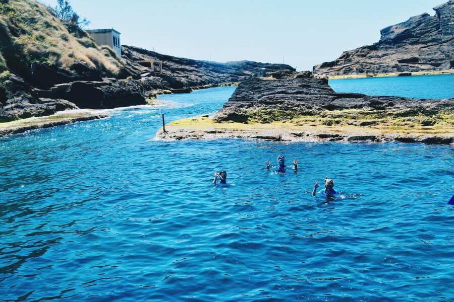 São Miguel: Glass Bottom Boat Tour with Snorkeling - Price and value: what $58 buys you in the Azores Sea