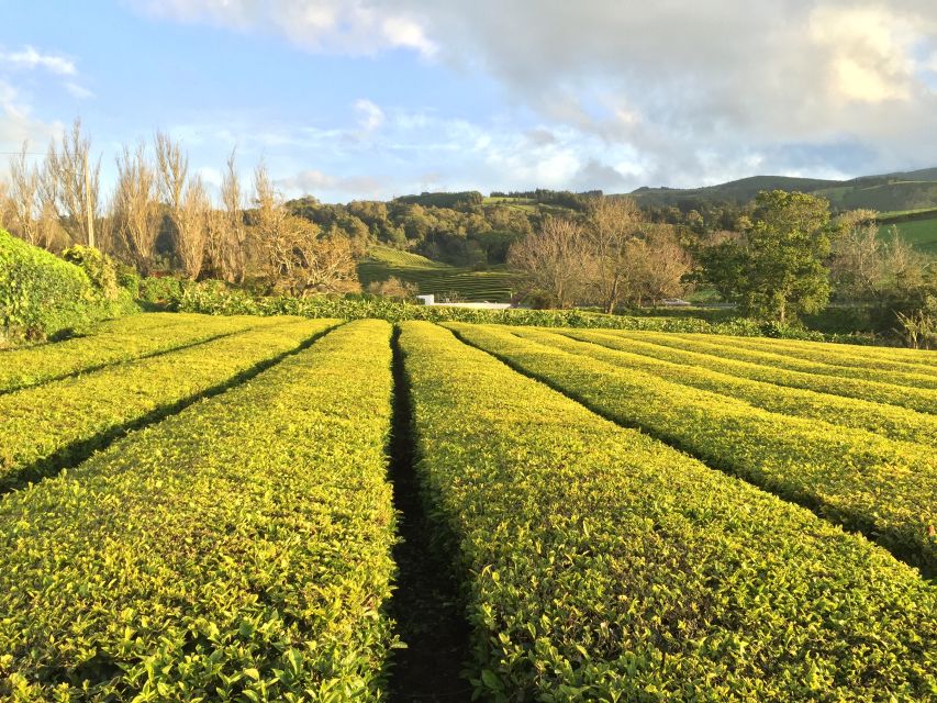 São Miguel Island: Full Day All-in-One Tour - Pickup, timing, and how the day actually feels