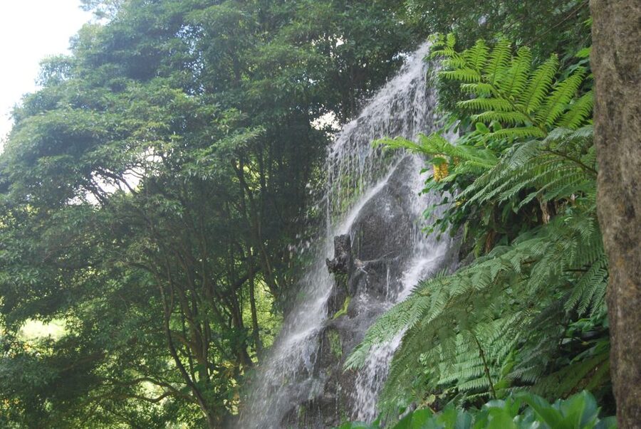 São Miguel: Nordeste, Cliffs & Waterfall Day Trip with Lunch - Morning pickup and the van ride that sets your day up right