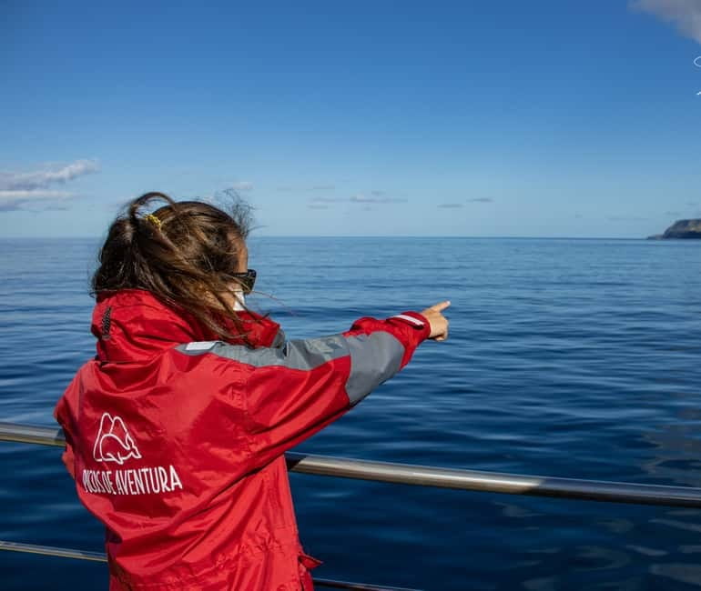 São Miguel: Swim with Wild Dolphins in the Open Ocean - How the Guides Keep It Respectful: Pairing, Timing, and Clear Direction