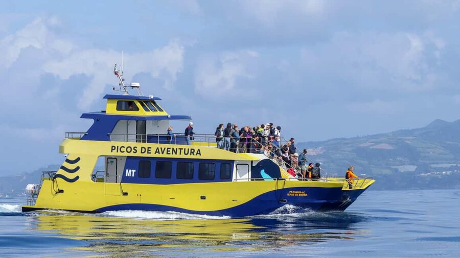 São Miguel: Whale-Watching Cruise with Marine Biologist - Meeting at Ponta Delgada: The Smooth Start You Want