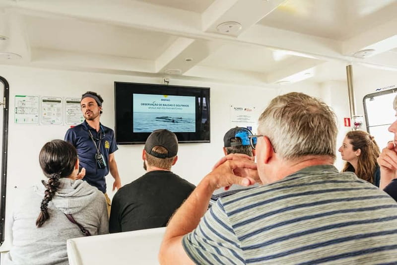 São Miguel: Whale-Watching Cruise with Marine Biologist - The Return Sail and Coastline Geology: Don’t Rush Off the Boat