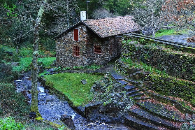 Schist Villages at Lousa Mountain - Cerdeira: the spring, the slate path, and the art-botany feel
