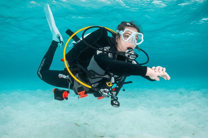Scuba Diving Experience in Madeira - Where You Start in Funchal: Azul Madeira’s meeting setup