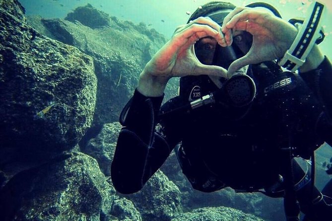 Scuba Diving Experience in Madeira - Your guided sea session up to 12 meters off the Funchal coast