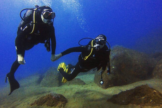 Scuba Diving Experience in Madeira - What you’ll see underwater (and how to get more from the experience)