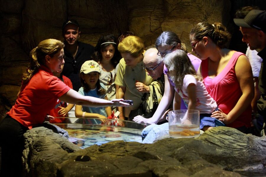 SEA LIFE Porto Full-Day Entrance Ticket - Getting there, entry expectations, and house rules that affect your day