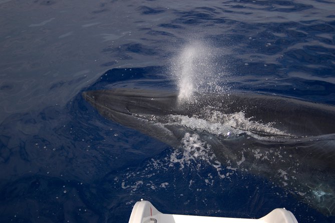 Seaborn Catamaran trips - The catamaran ride, comfort, and onboard bar