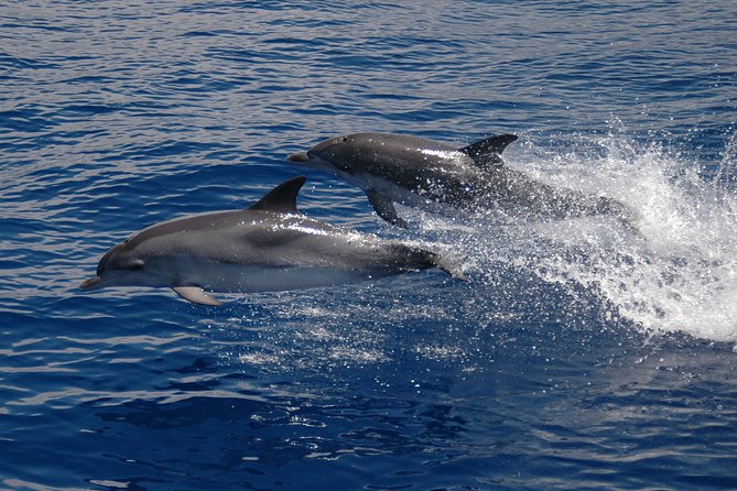 Seaborn Catamaran trips - Keeping the day comfortable when the sea gets choppy