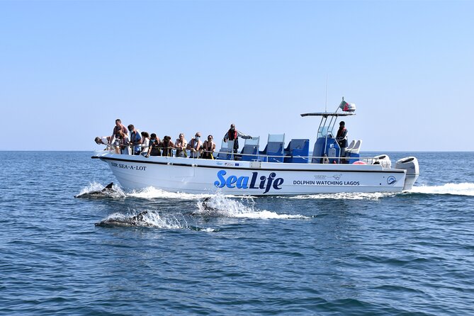 Sealife Sea Safari, Dolphin Watching with Marine Biologist's Lagos - Key points to know before you go