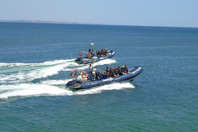 Sealife Sea Safari, Dolphin Watching with Marine Biologist's Lagos - Boats on the Water: Fast, Comfortable, and Built for Real Seas