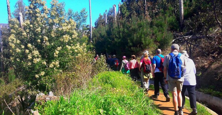 Serra de Água Valley Levada Walk - Quick hits before you go
