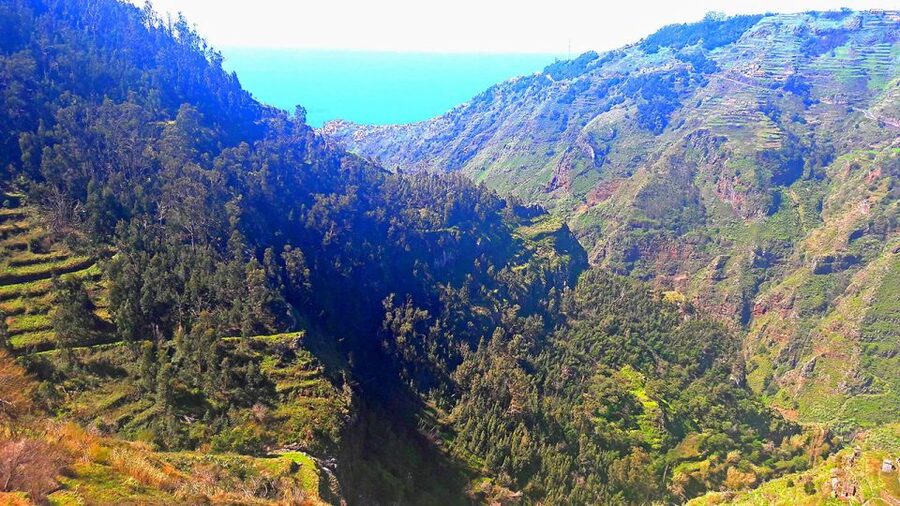 Serra de Água Valley Levada Walk - Should you book the Serra de Água Valley Levada Walk?