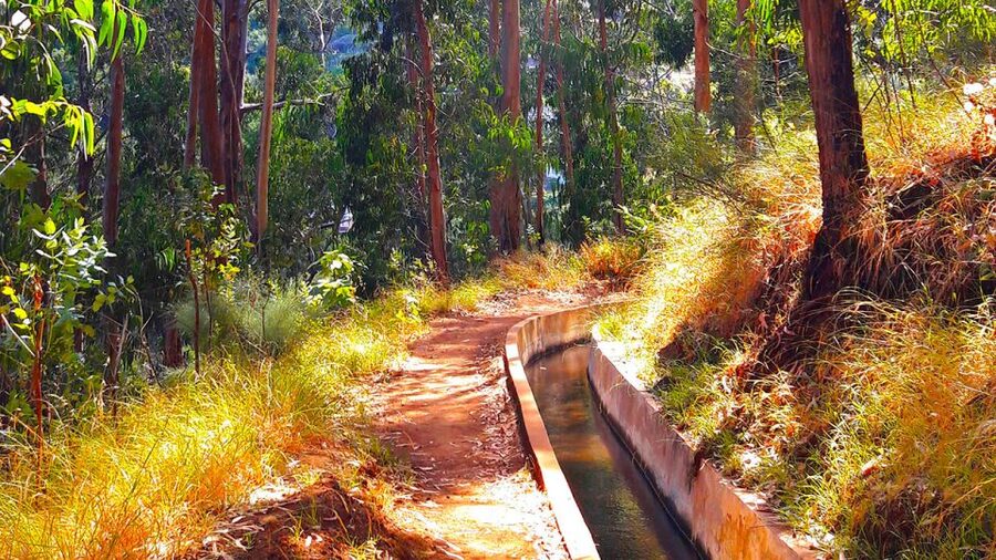 Serra de Água Valley Levada Walk - Why this Serra de Água levada walk feels like the right Madeira taste-test
