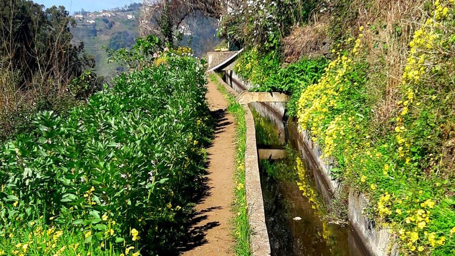 Serra de Água Valley Levada Walk - Guides on Madeira: what you gain besides steps and photos