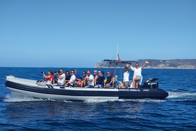 Sesimbra: Arrábida Dolphin and Whale Watching tour with biologist - From Sesimbra Marina to the Open Sea in About 3 Hours