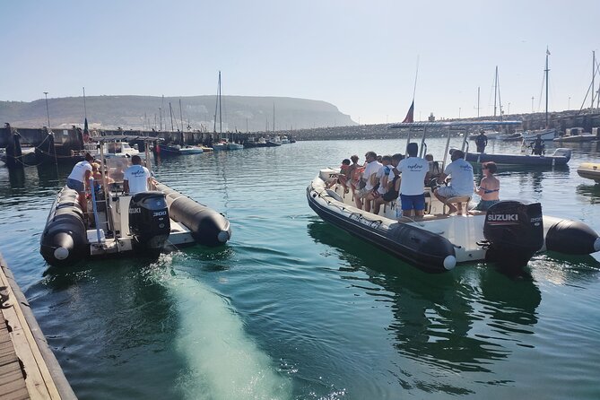 Sesimbra: Arrábida Dolphin and Whale Watching tour with biologist - Food and drink: the local wine moment and the port toast