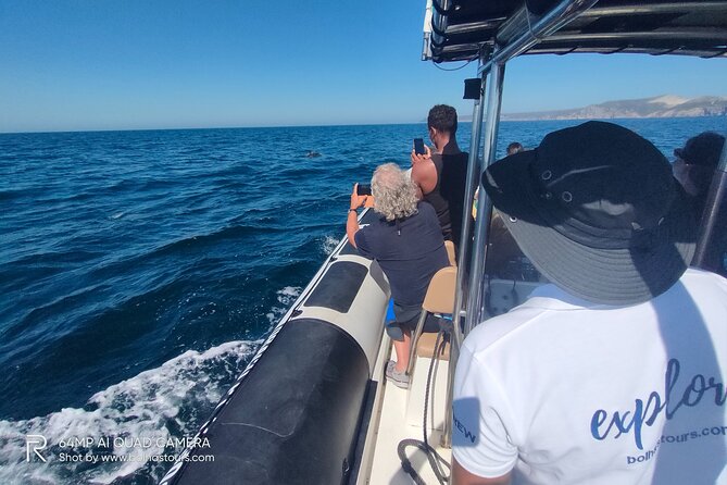 Sesimbra: Arrábida Dolphin and Whale Watching tour with biologist - Boat comfort and safety: what to expect, especially if you’re motion sensitive