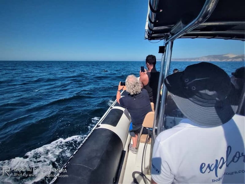 Sesimbra: Dolphin and Whales Watching with Biologist Guide - Setting off from Sesimbra: the Bolhas Tours start that keeps things smooth