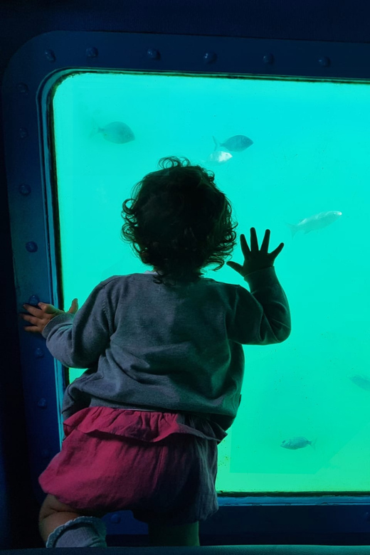 Sesimbra: Family Friendly Boat Sea Tour w/ Submarine Vision - The 2-hour route, with the stops that shape the coastline