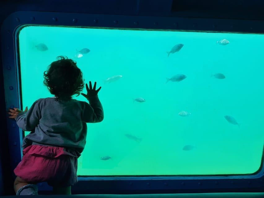 Sesimbra: Family Friendly Boat Sea Tour w/ Submarine Vision - What to bring, and what not to do