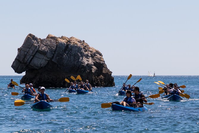 Sesimbra : Guided Kayak Tour in Arrábida Natural Park & Caves - The 3-Hour Rhythm: What Happens on the Water