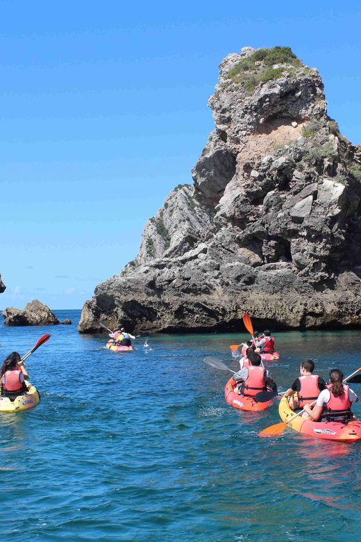 Sesimbra: Ribeiro Cavalo Beach, Caves, & Arrábida Kayak Tour - Who should book this kayak tour, and who should skip it