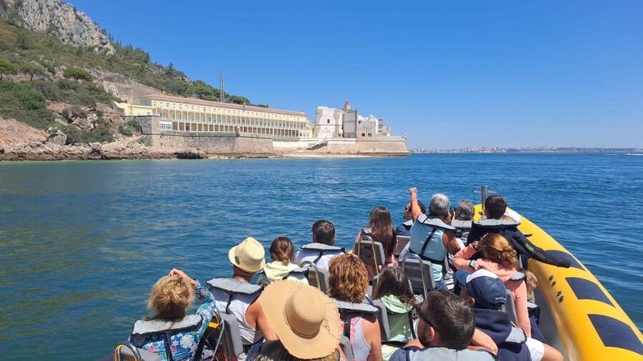 Setúbal and Tróia: Dolphin Watching and Arrábida Bays - Should you book Sado Emotion’s dolphin and Arrábida bays cruise?