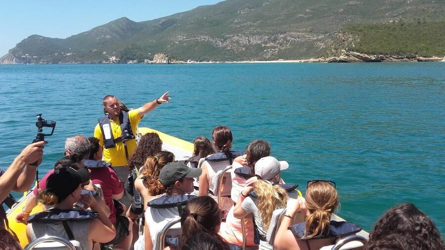 Setúbal and Tróia: Dolphin Watching and Arrábida Bays - Arrábida Natural Park by boat: bays and beaches from the waterline