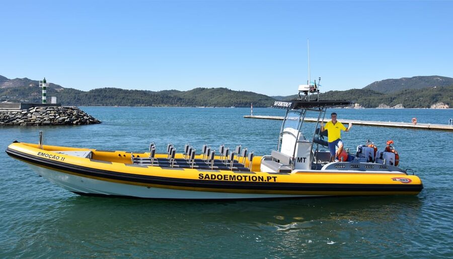 Setúbal and Tróia: Dolphin Watching and Arrábida Bays - Price and value: $53 for dolphins plus a full Arrábida bay circuit