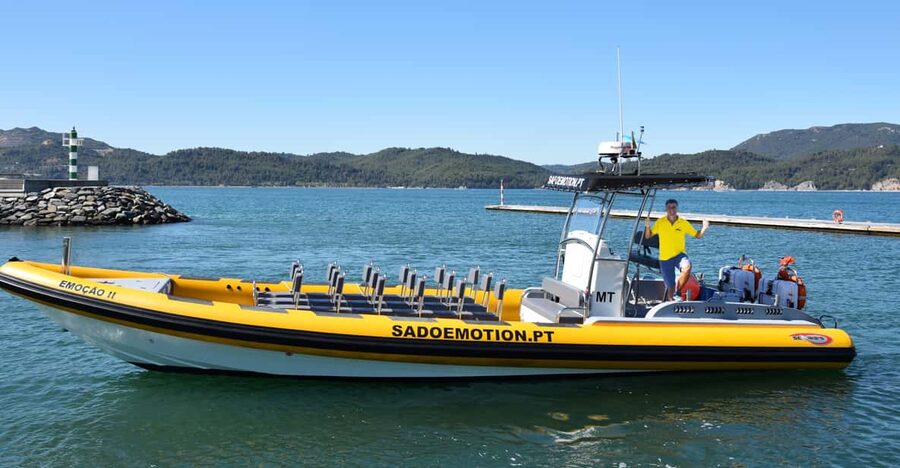 Setúbal and Tróia: Dolphin Watching and Arrábida Bays - Who this cruise suits best, and who might want a different day plan
