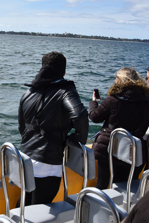 Setúbal and Tróia: Dolphin Watching and Arrábida Bays - Boarding with Sado Emotion: why being early really matters