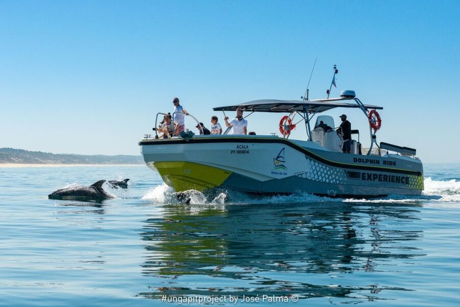 Setúbal: Dolphin Watching Boat Tour - Setúbal Bay, the Calm-Water Dolphin Neighborhood